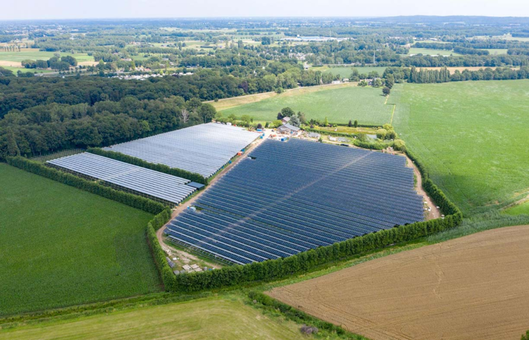 SP Group Invests in Agrivoltaic Assets in China to Support Clean Energy ...